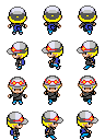 PKMN TRAINER pokemonkid135